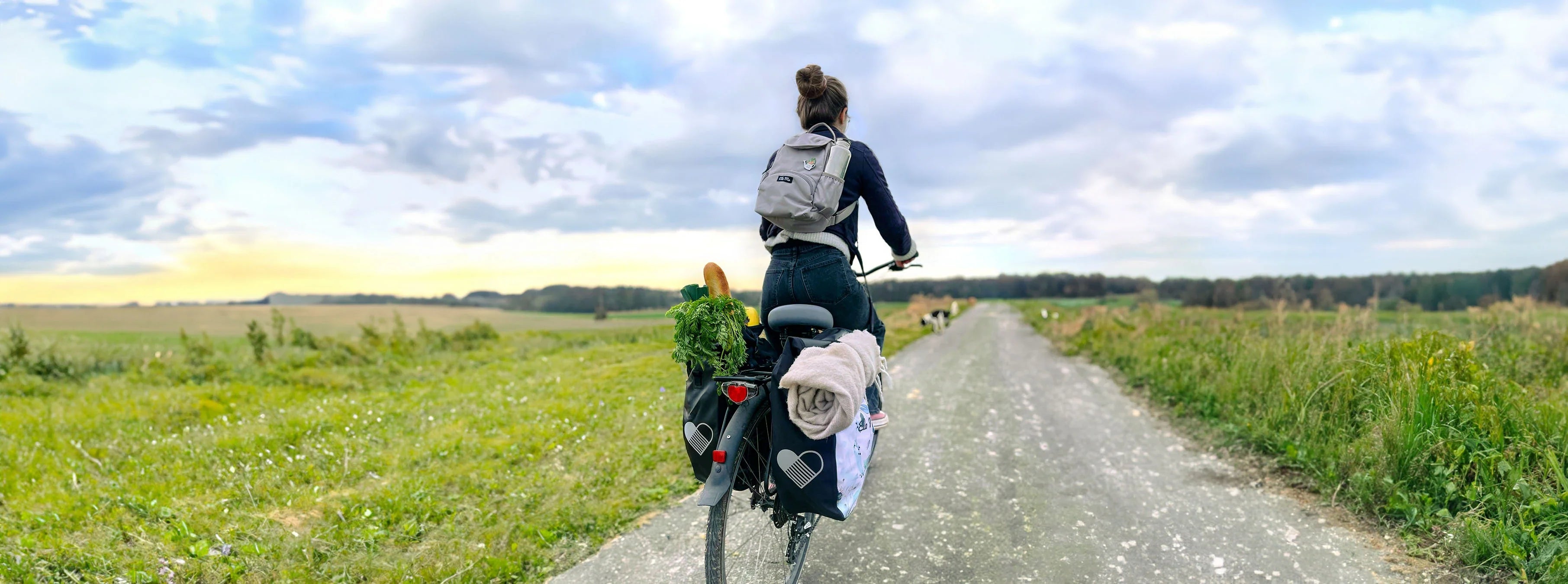 Ela Mo™ Fahrradtasche für Gepäckträger